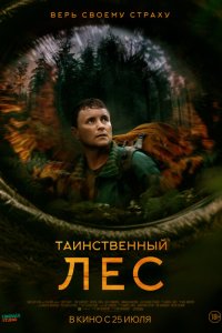  Таинственный лес 